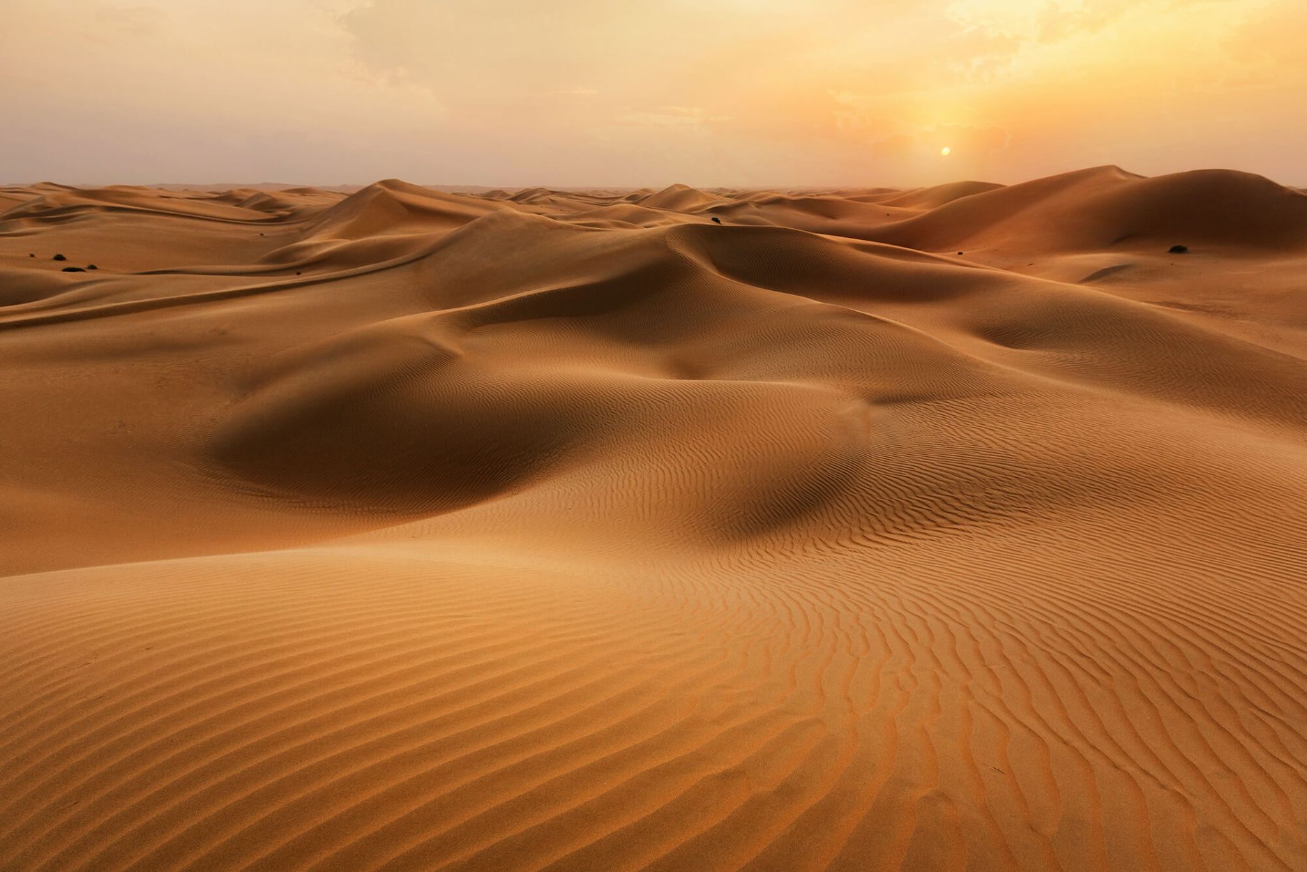 bg-sand 1 (1) (1).jpg