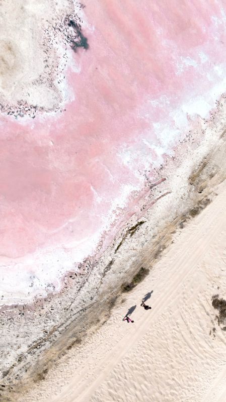 Research and insights