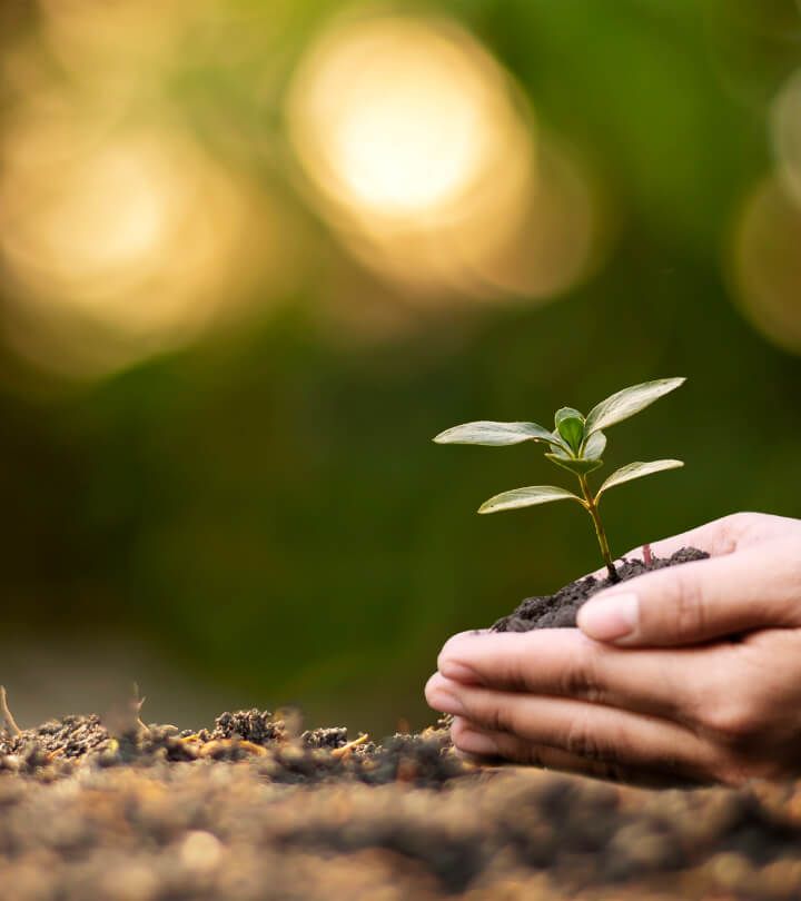 Planting Seeds of Change: UAE SMEs Cultivating a More Sustainable Path for the Food and Beverage Industry