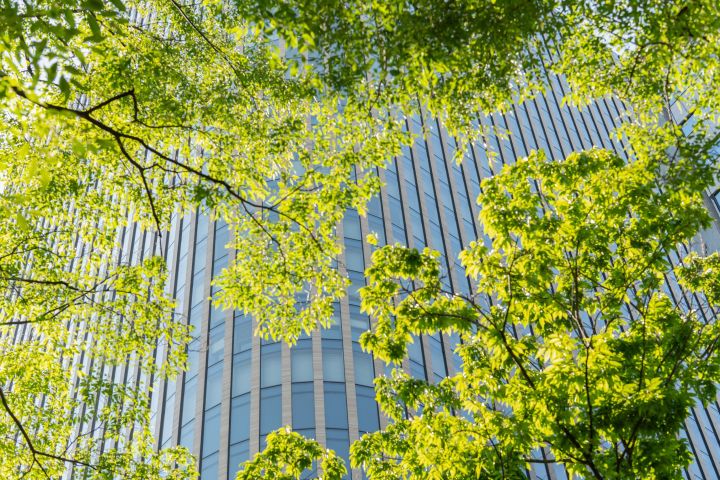 The Path to Resilient Green Economies lies in looking at the Macro Vewpoint