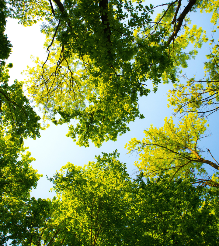 Accelerating Climate Action: UICCA at Abu Dhabi Sustainability Week