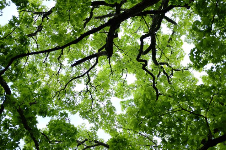 Influencing climate-friendly choices is more complex than you think