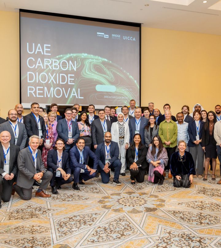 UAE Hosts Major Event for Carbon Removal Strategies